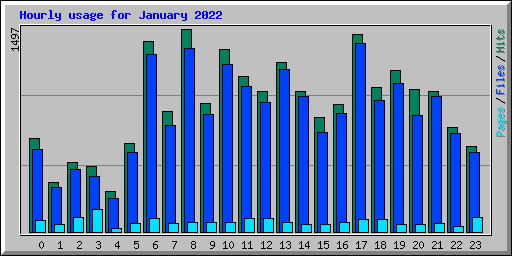 Hourly usage for January 2022